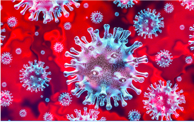 Neutrófilos sacrificam-se para aumentar a resposta imunológica aos vírus