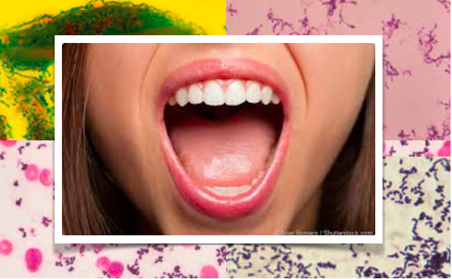 A incrível  variabilidade ​​ de bactérias que vivem na boca