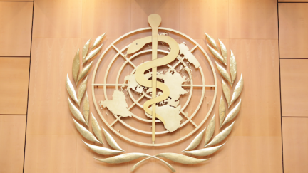 O FDI pede uma ação sustentada sobre saúde oral no 152º Conselho Executivo de OMS