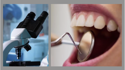 Foco em: Patologia Oral
