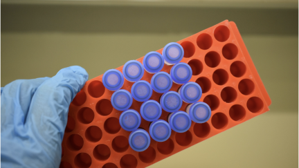 Pastilha elástica  criada por Bioengenharia para combate ao cancro oral