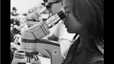 Estudo mostra que a perda dentária, e não a baixa ingestão de proteínas, causa declínio da memória em ratinhos idosos