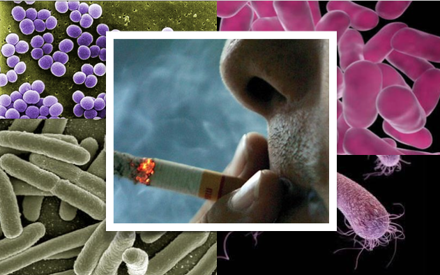 O fumo do tabaco aumenta a resiliência das bactérias orais