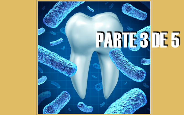 A evolução da Medicina Dentária: - Principais tendências  na formação e educação  (Parte 3)