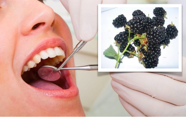 As framboesas pretas podem inibir o cancro oral
