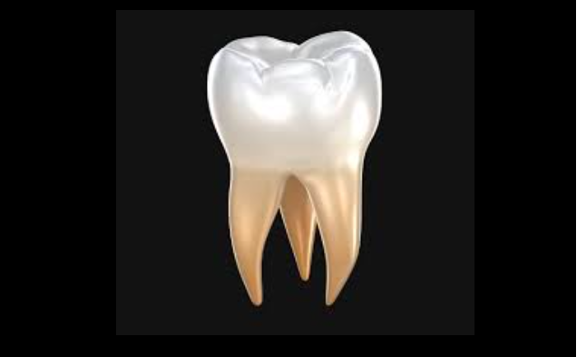 De acordo  com uma nova pesquisa os Dentes servem como “arquivo da vida”
