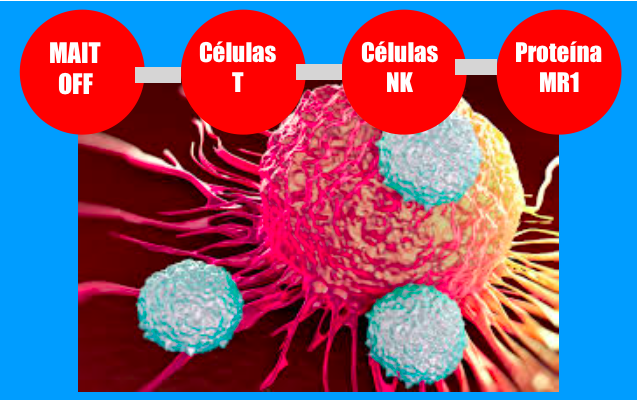 Como fazer parar o cancro de se esconder das células imunológicas