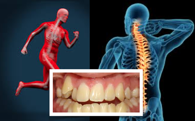 Estudo relaciona oclusão dentária também com o controlo da postura e equilíbrio
