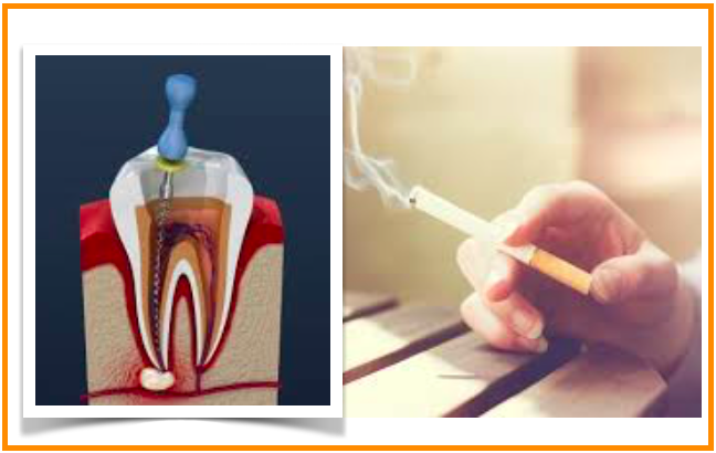 Pesquisa dental demostra que fumar enfraquece o sistema imunológico