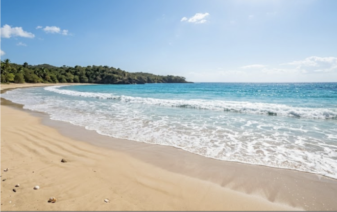 Europa: bactéria "carnívora" espalha-se nas praias com o aquecimento global