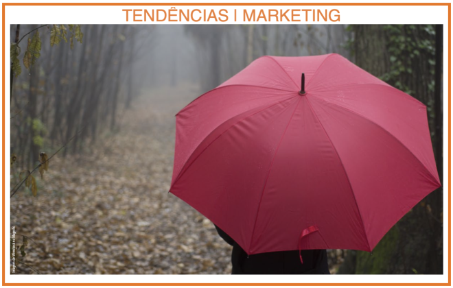 Um guarda-chuva para a sensatez dos dias comuns