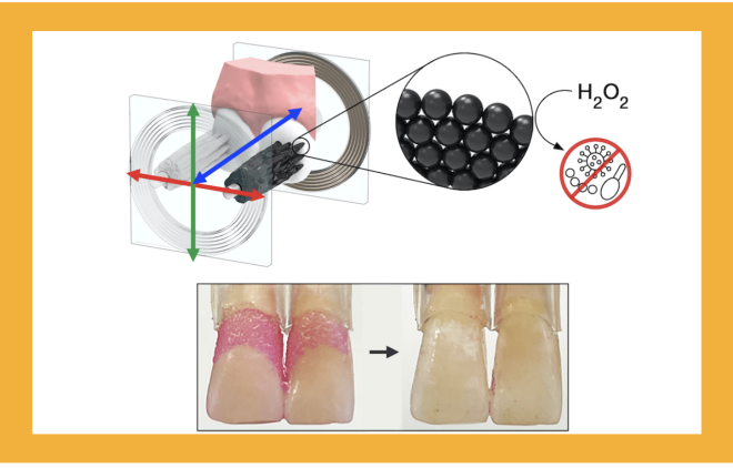 Microrobot  metamorfo  pode escovar e aplicar fio dental nos dentes