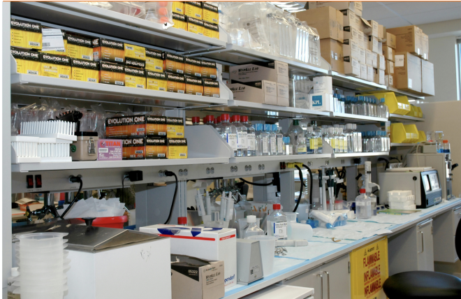 A fixação de corante fluorescente a proteínas do cancro oral pode gerar uma poderosa ferramenta de previsão para vários tipos de cancro