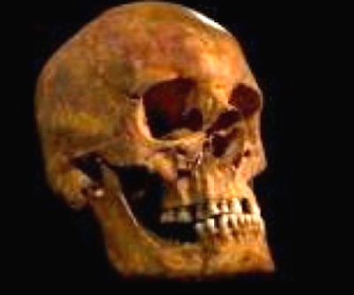 ANALISES QUÍMICAS AOS DENTES E OSSOS DO REI RICHARD III REVELAM O SEU ESTILO DE VIDA 